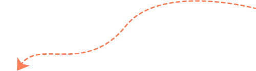 seta-laranja-1